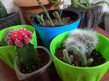 Name:  PHOTO_20160620_230034.jpg
Views: 262
Size:  67.9 KB