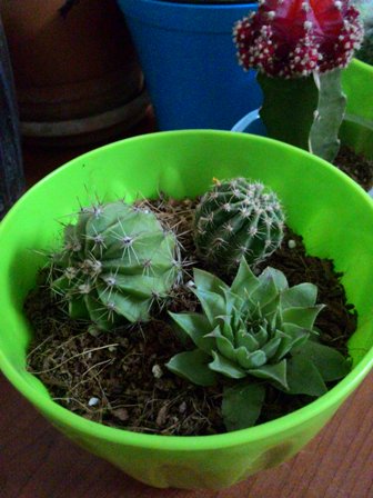 Name:  PHOTO_20160620_230056.jpg
Views: 280
Size:  64.6 KB