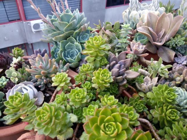 Name:  20160630_185103.jpg
Views: 790
Size:  70.5 KB