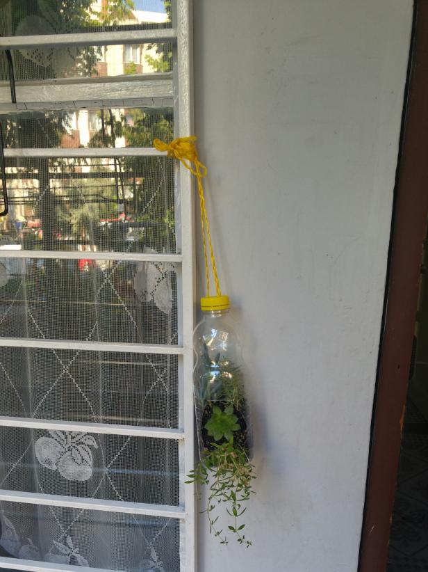 Name:  20160710_074005-1.jpg
Views: 553
Size:  70.2 KB