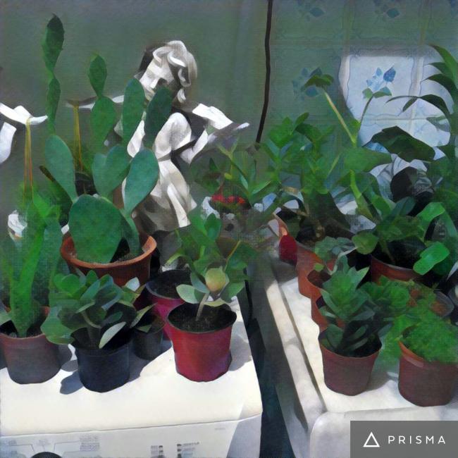 Name:  71c9067b6a1f9a959fb402a6b04673edresNet11_na.jpg
Views: 413
Size:  58.3 KB