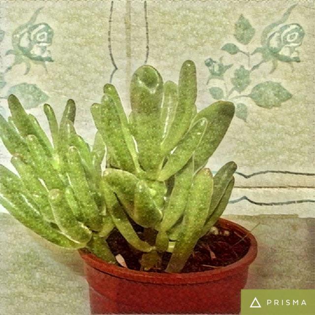 Name:  79be0c9f1a09973a80e06331feb7ad8eresNet9_n7.jpg
Views: 388
Size:  69.6 KB