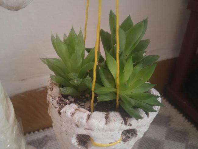 Name:  20160814_141314-1.jpg
Views: 795
Size:  28.0 KB