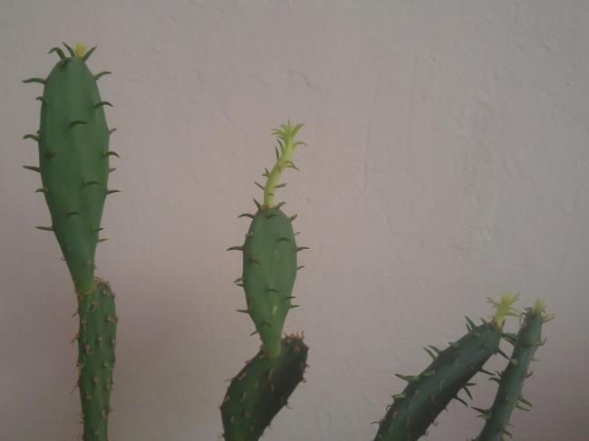 Name:  20160814_141326-1.jpg
Views: 912
Size:  18.4 KB