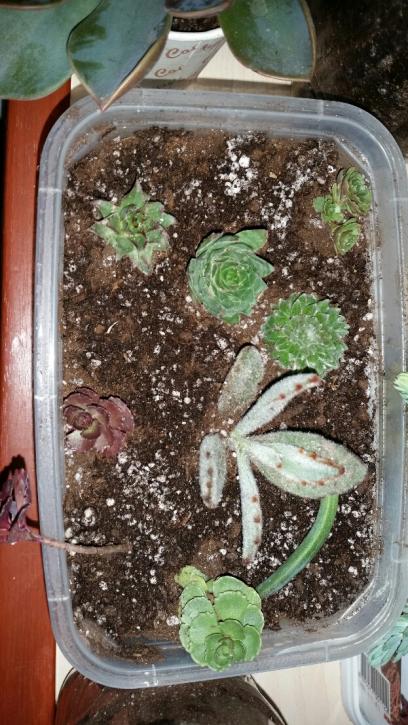 Name:  2016-10-28 00.13.09.jpg
Views: 466
Size:  73.4 KB