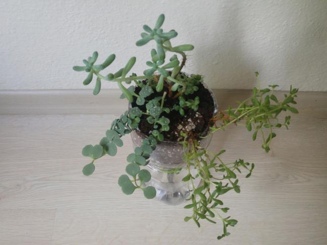 Name:  20161107_134504-1.jpg
Views: 738
Size:  36.8 KB