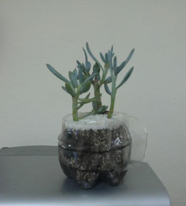 Name:  20161110_001746-1.jpg
Views: 744
Size:  27.3 KB