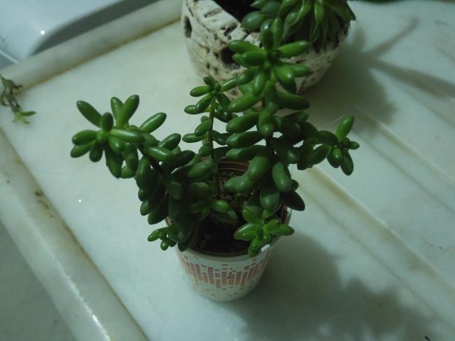 Name:  20170128_022219-1.jpg
Views: 825
Size:  31.1 KB
