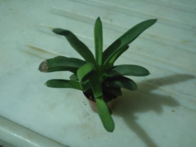 Name:  20170128_022123-1.jpg
Views: 810
Size:  20.4 KB