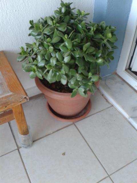 Name:  20161130_171604.jpg
Views: 522
Size:  33.2 KB
