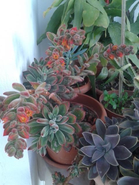 Name:  20170212_085702.jpg
Views: 446
Size:  45.9 KB