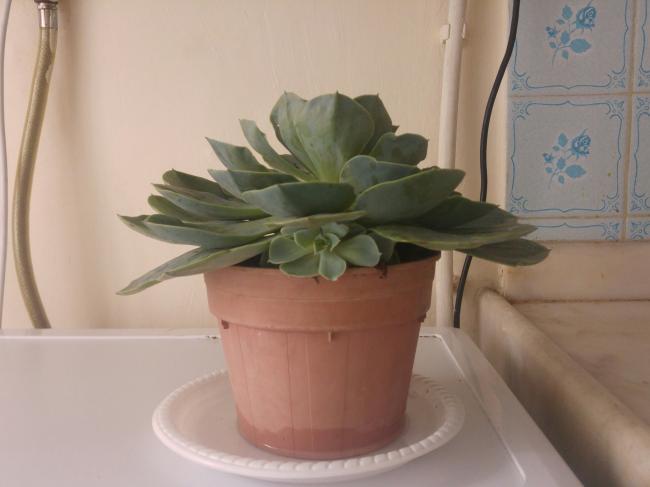 Name:  20170226_144310-1.jpg
Views: 560
Size:  26.9 KB