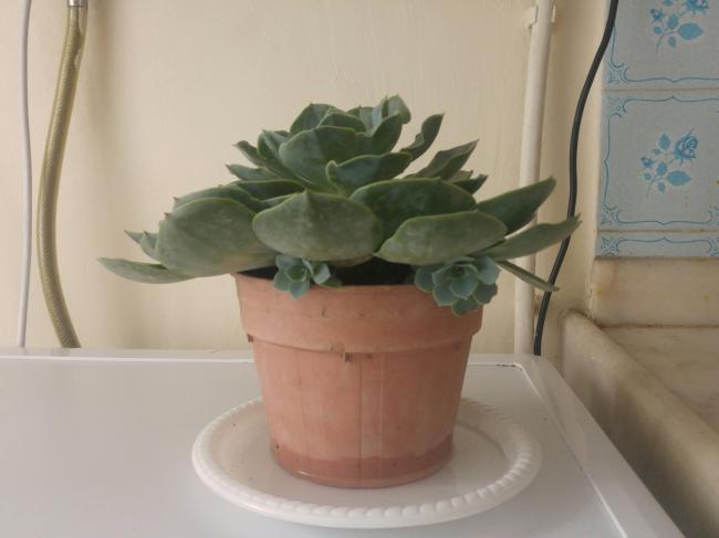 Name:  20170226_144318-1.jpg
Views: 571
Size:  26.1 KB