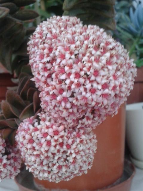 Name:  20170308_185724.jpg
Views: 797
Size:  45.7 KB
