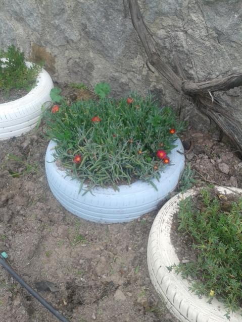 Name:  20170307_151447.jpg
Views: 802
Size:  60.5 KB