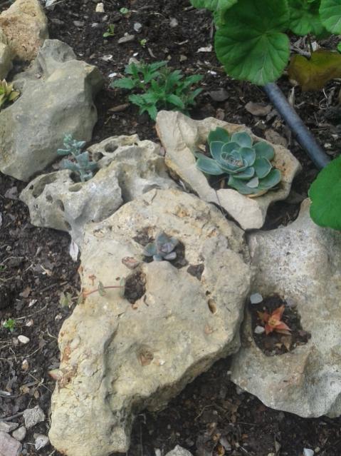 Name:  20170406_152652.jpg
Views: 746
Size:  60.0 KB