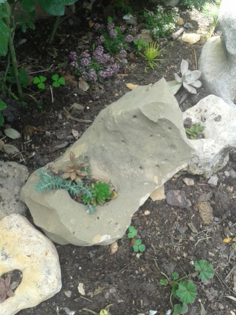 Name:  20170406_152723.jpg
Views: 746
Size:  59.0 KB