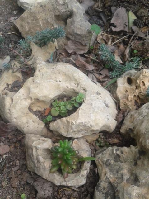 Name:  20170307_151635.jpg
Views: 742
Size:  54.6 KB
