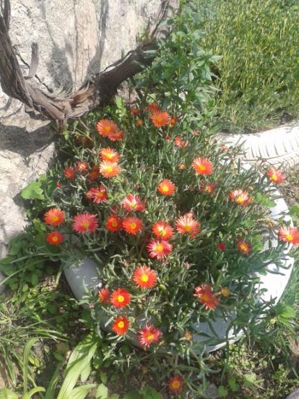 Name:  20170406_152448.jpg
Views: 742
Size:  66.9 KB