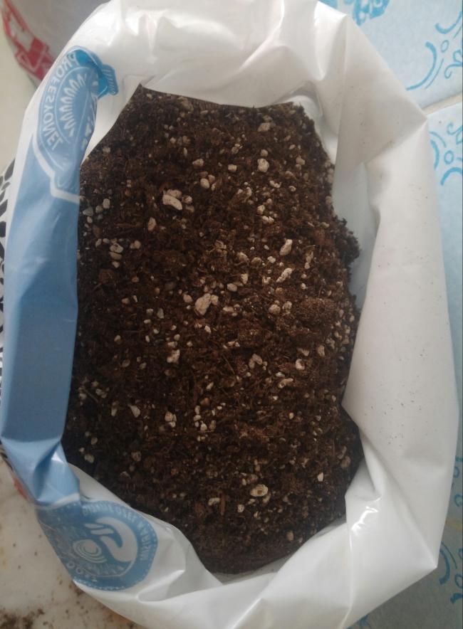 Name:  20170414_140149-1.jpg
Views: 909
Size:  65.1 KB