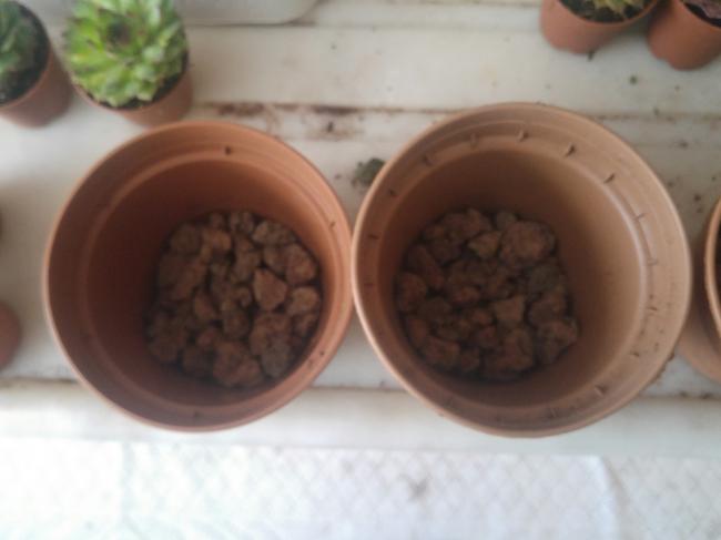 Name:  20170414_140541-1.jpg
Views: 916
Size:  24.9 KB