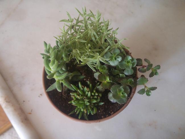 Name:  20170414_145324-1.jpg
Views: 874
Size:  32.7 KB