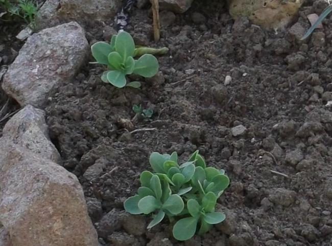 Name:  DSCF0166.jpg
Views: 557
Size:  56.9 KB
