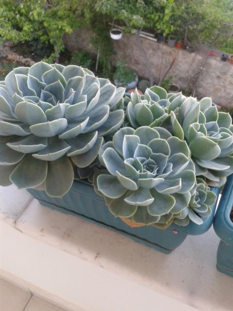 Name:  20170418_191218.jpg
Views: 692
Size:  43.2 KB