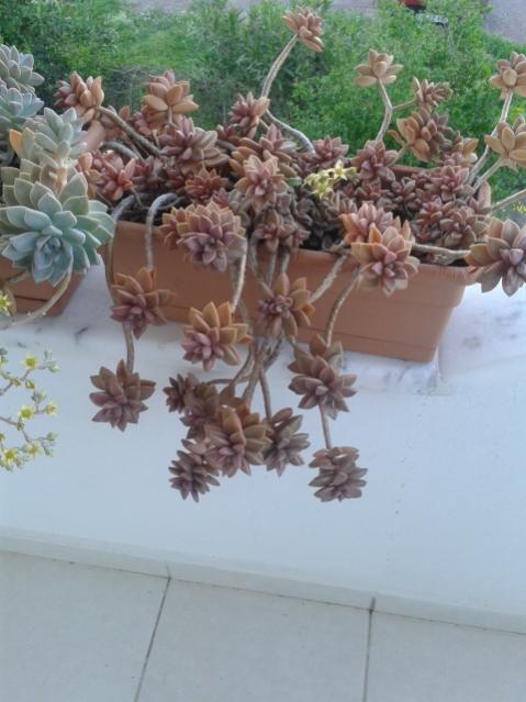 Name:  20170418_191134.jpg
Views: 692
Size:  42.7 KB