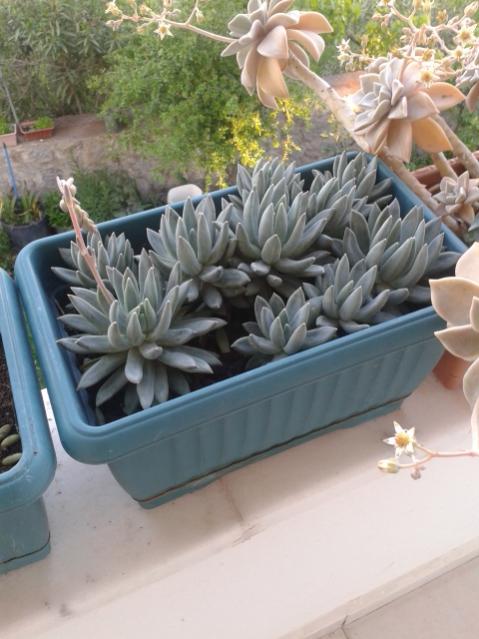 Name:  20170418_191208.jpg
Views: 675
Size:  47.1 KB