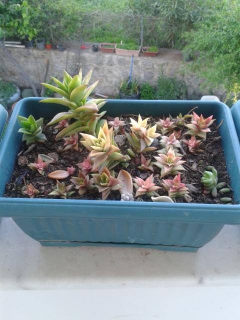 Name:  20170418_191213.jpg
Views: 718
Size:  45.9 KB
