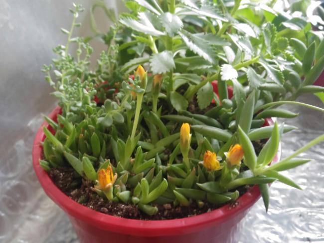 Name:  20170420_144344-1.jpg
Views: 849
Size:  47.9 KB