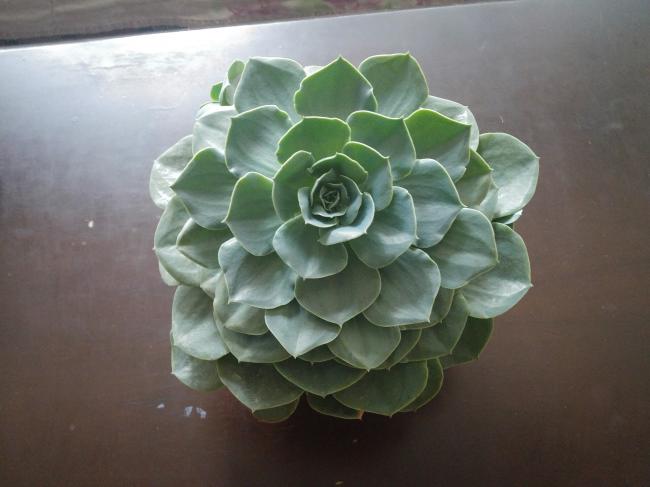 Name:  20170420_144532-1.jpg
Views: 892
Size:  32.4 KB