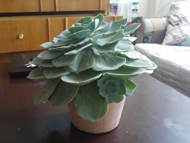 Name:  20170420_144540-1.jpg
Views: 843
Size:  35.0 KB