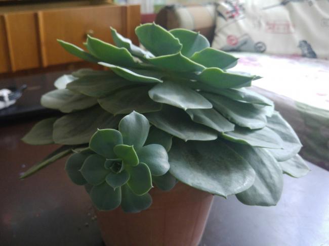 Name:  20170420_144549-1.jpg
Views: 848
Size:  30.0 KB