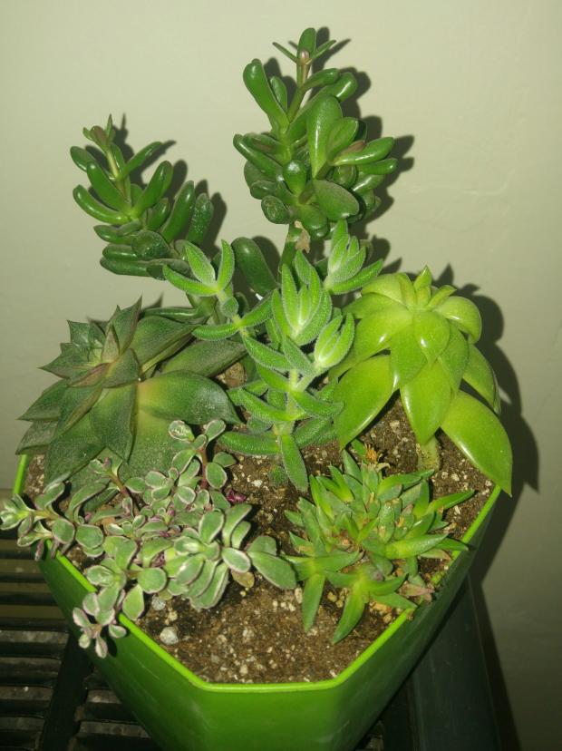 Name:  20170421_213604-1.jpg
Views: 912
Size:  71.0 KB