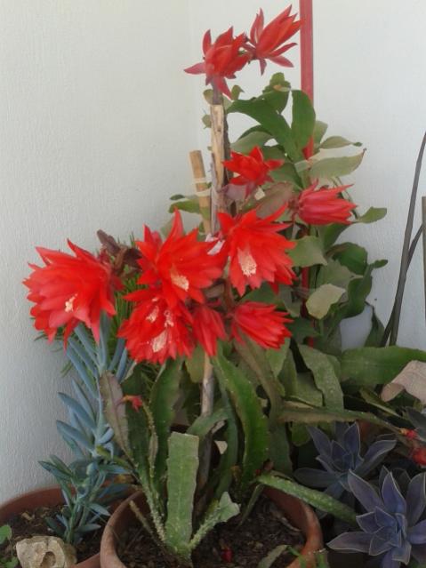 Name:  20170429_143957.jpg
Views: 620
Size:  40.2 KB