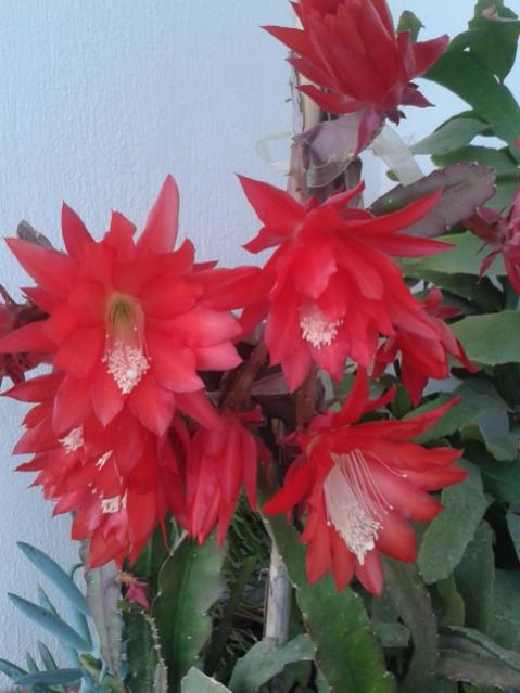 Name:  20170430_075943.jpg
Views: 644
Size:  40.4 KB