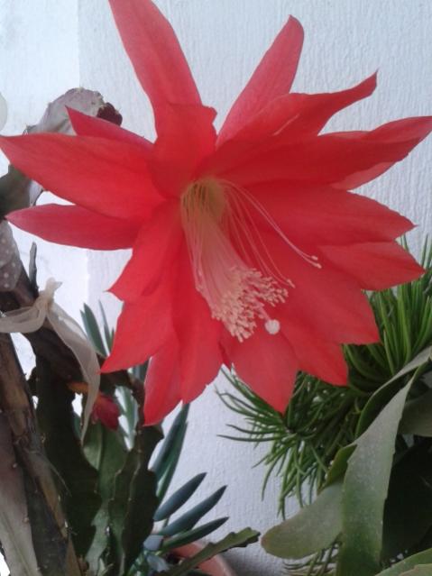 Name:  20170430_080000.jpg
Views: 633
Size:  37.2 KB