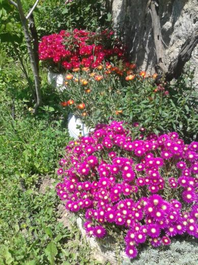 Name:  20170429_133058.jpg
Views: 633
Size:  69.0 KB