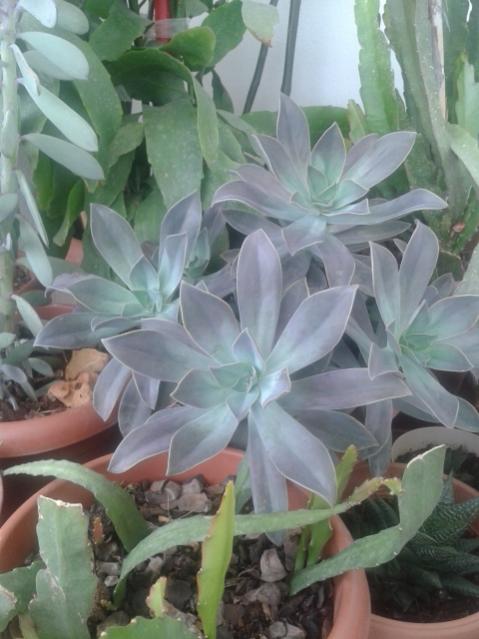 Name:  20170519_120950.jpg
Views: 610
Size:  42.6 KB