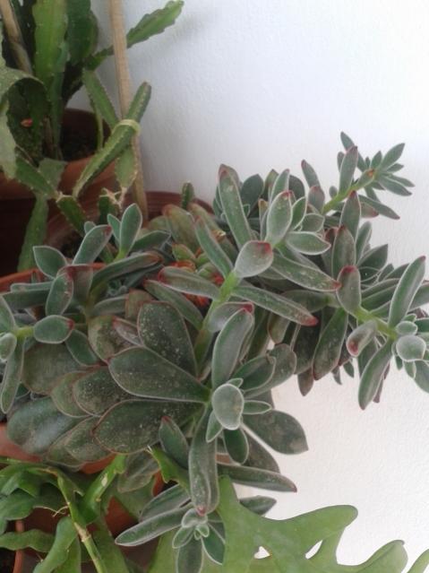Name:  20170519_121006.jpg
Views: 632
Size:  40.4 KB