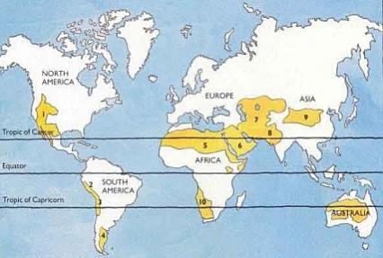 Name:  map513.jpg
Views: 1869
Size:  24.0 KB