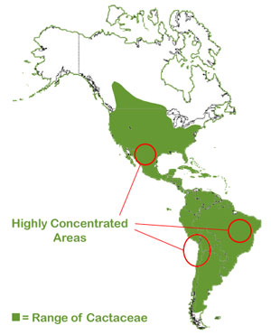 Name:  map4.jpg
Views: 1904
Size:  21.2 KB