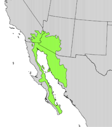 Name:  map9.png
Views: 1807
Size:  24.0 KB