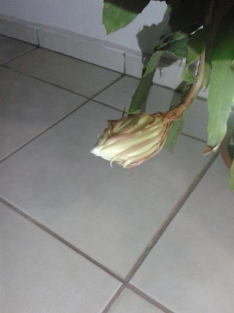 Name:  20170917_200350.jpg
Views: 443
Size:  21.9 KB