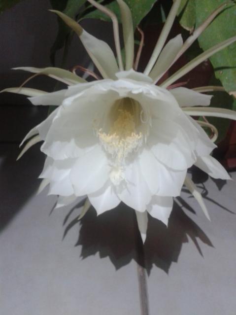 Name:  20170917_221525.jpg
Views: 471
Size:  26.0 KB