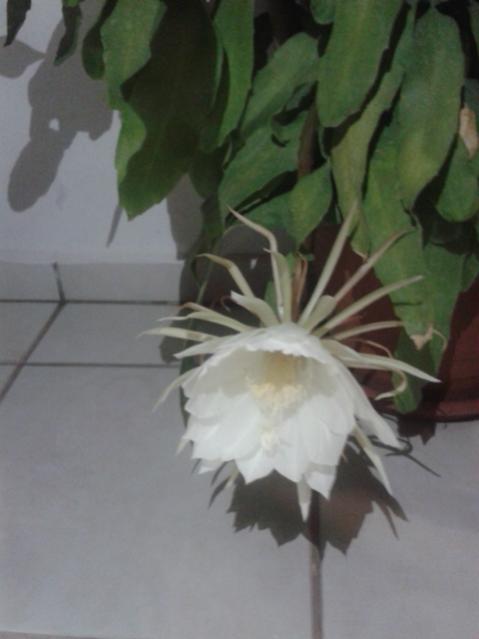 Name:  20170917_221613.jpg
Views: 446
Size:  25.7 KB