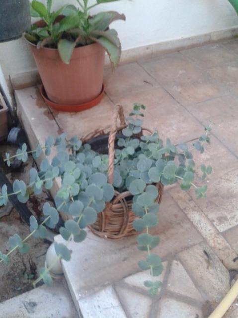 Name:  20170530_200711.jpg
Views: 448
Size:  36.7 KB