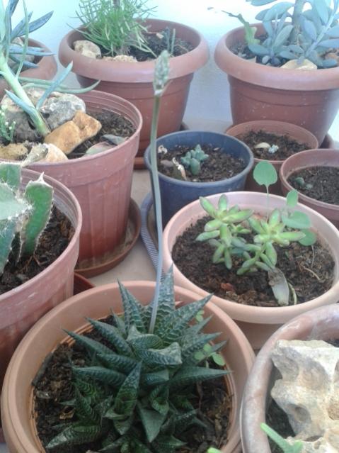 Name:  20170626_104858.jpg
Views: 481
Size:  52.1 KB
